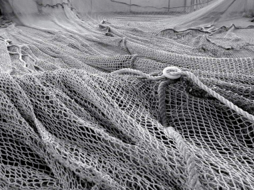 Fishingnet Coral