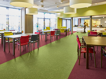 Flotex Colour sheet - s246017, s246019